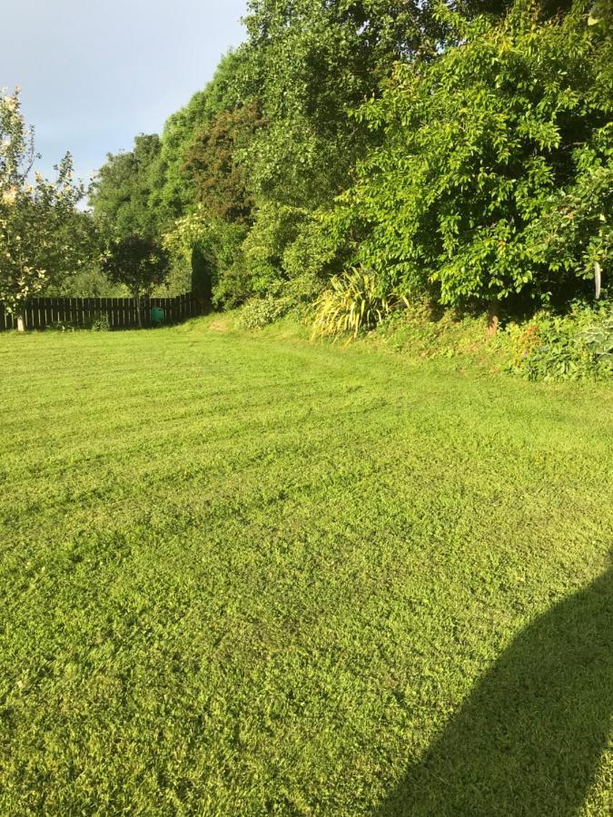 Deeleview * Lifford